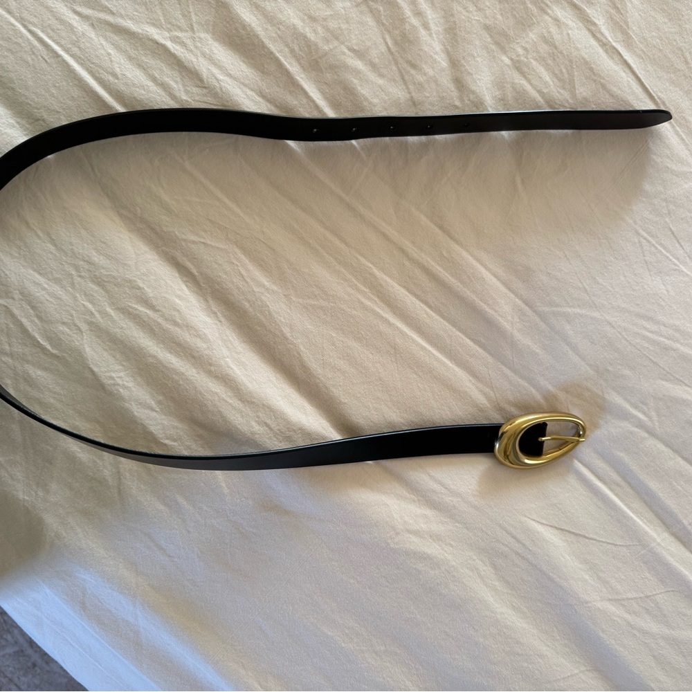 Aritzia Black Belt with Gold Buckle